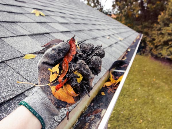 Gutter Cleaning Fishers, IN 1